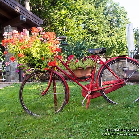 Il Casolare Bioenergetico Bed & Breakfast Albareto  Exterior foto
