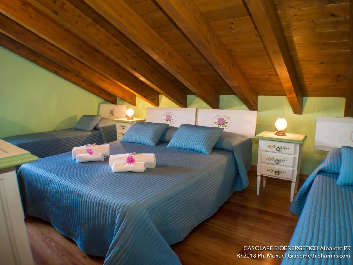 Il Casolare Bioenergetico Bed & Breakfast Albareto  Exterior foto
