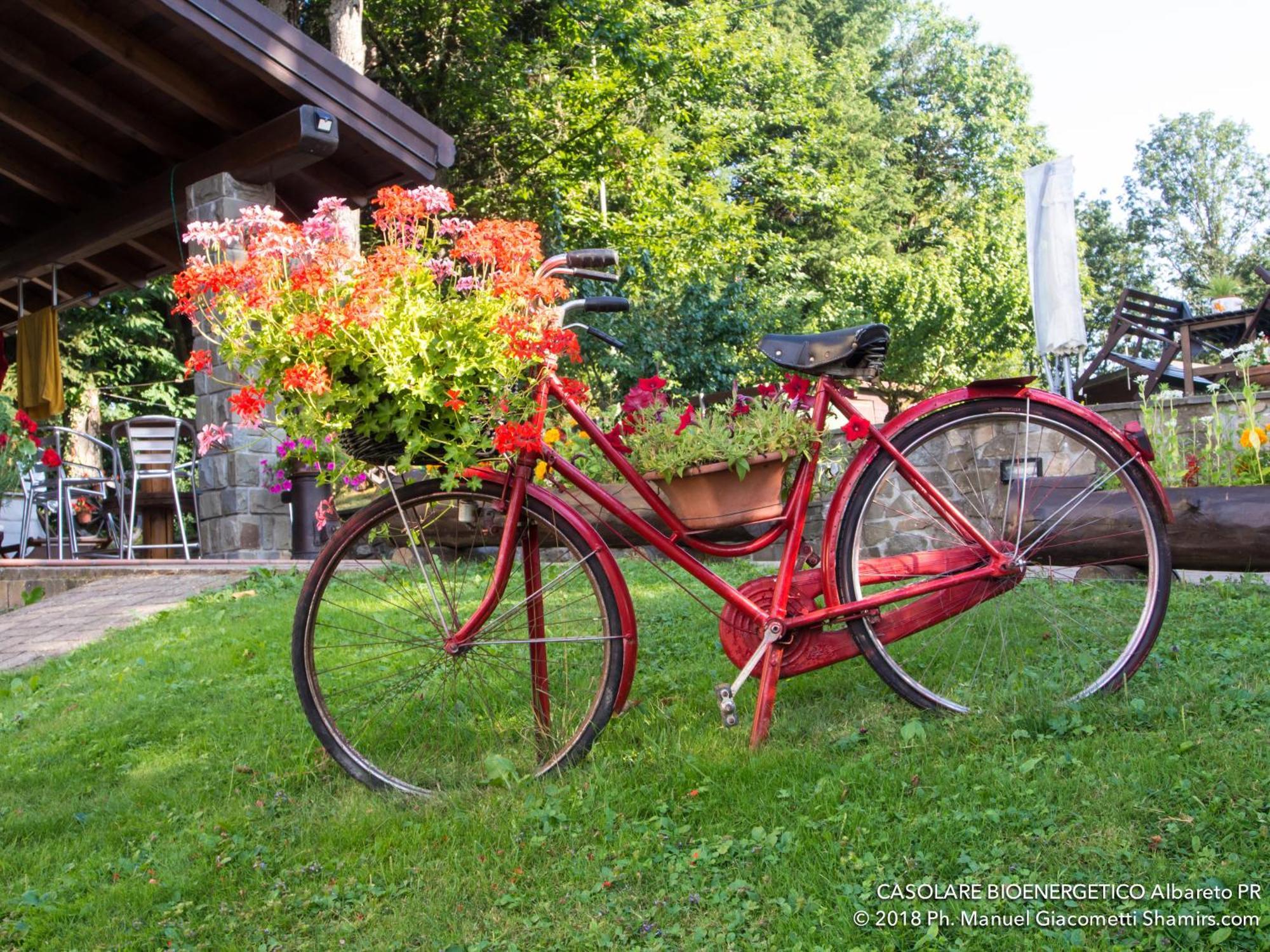 Il Casolare Bioenergetico Bed & Breakfast Albareto  Exterior foto
