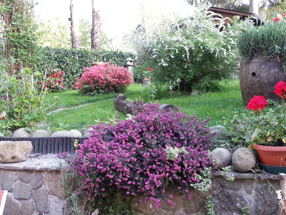 Il Casolare Bioenergetico Bed & Breakfast Albareto  Exterior foto
